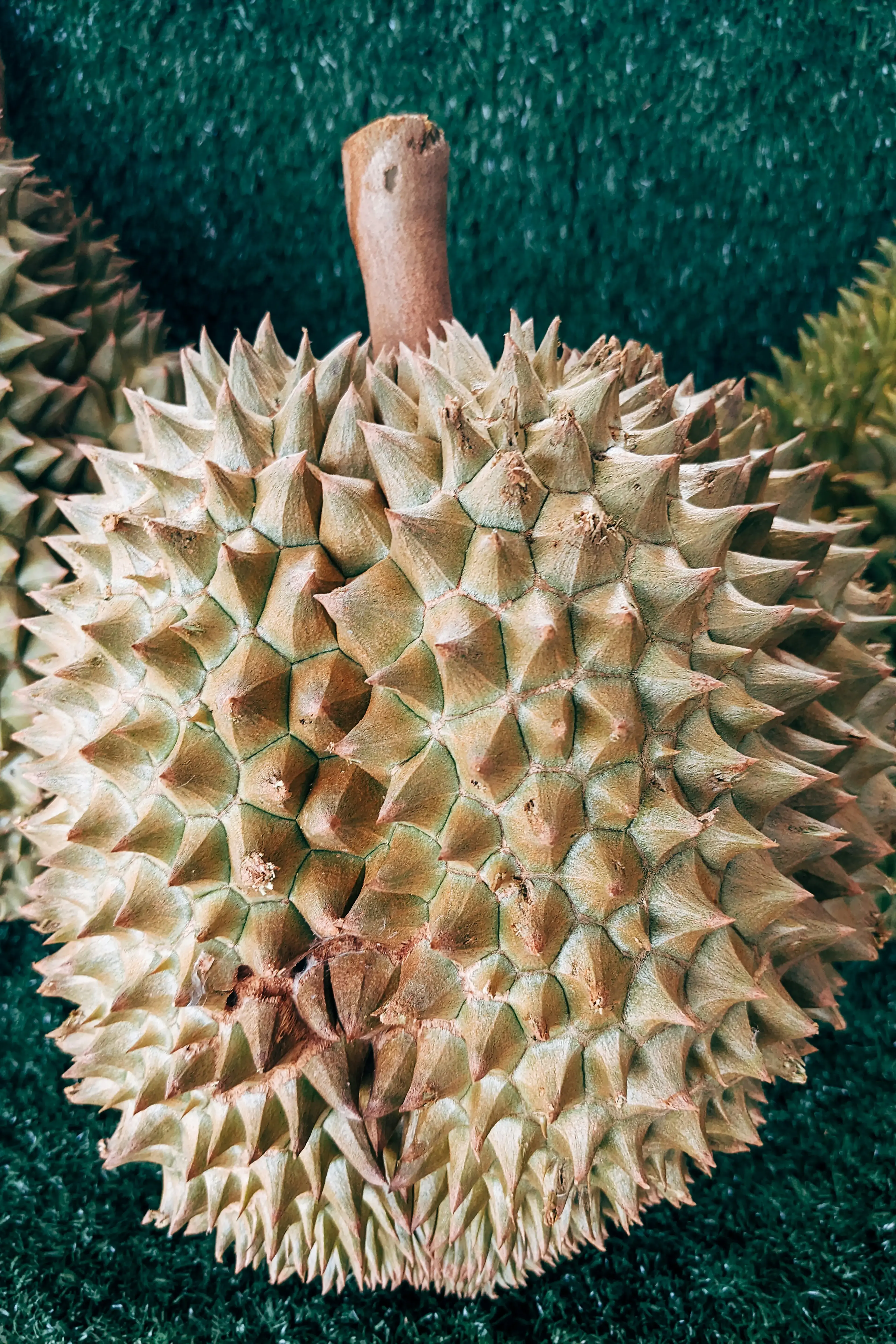 Durian