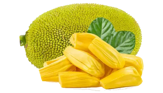 Jack Fruit Flesh (200g)