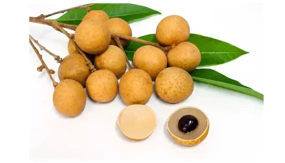 Longan (500g)