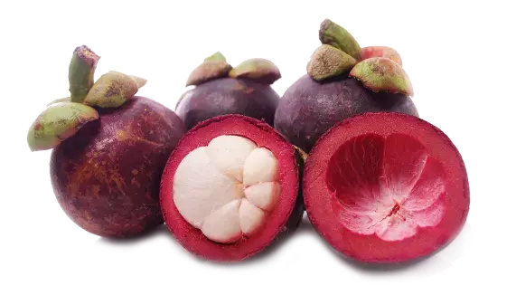 Mangosteen (500g)