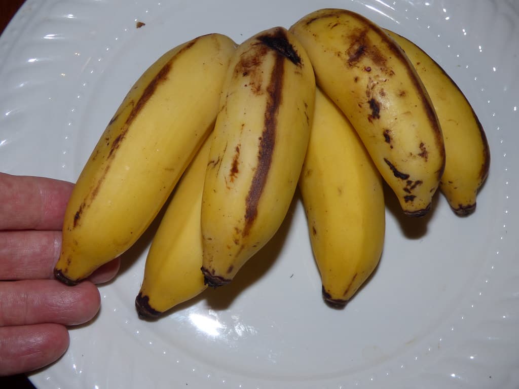 Apple Banana fresh