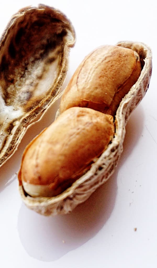 Peanut Fresh