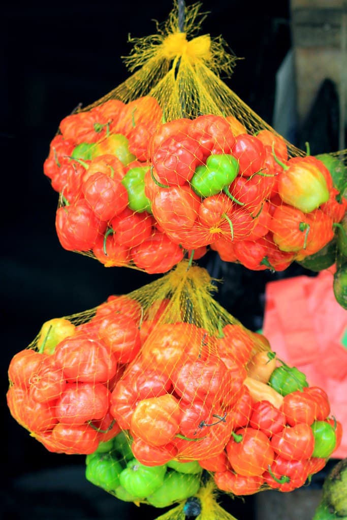 Scotch Bonnet Pepper