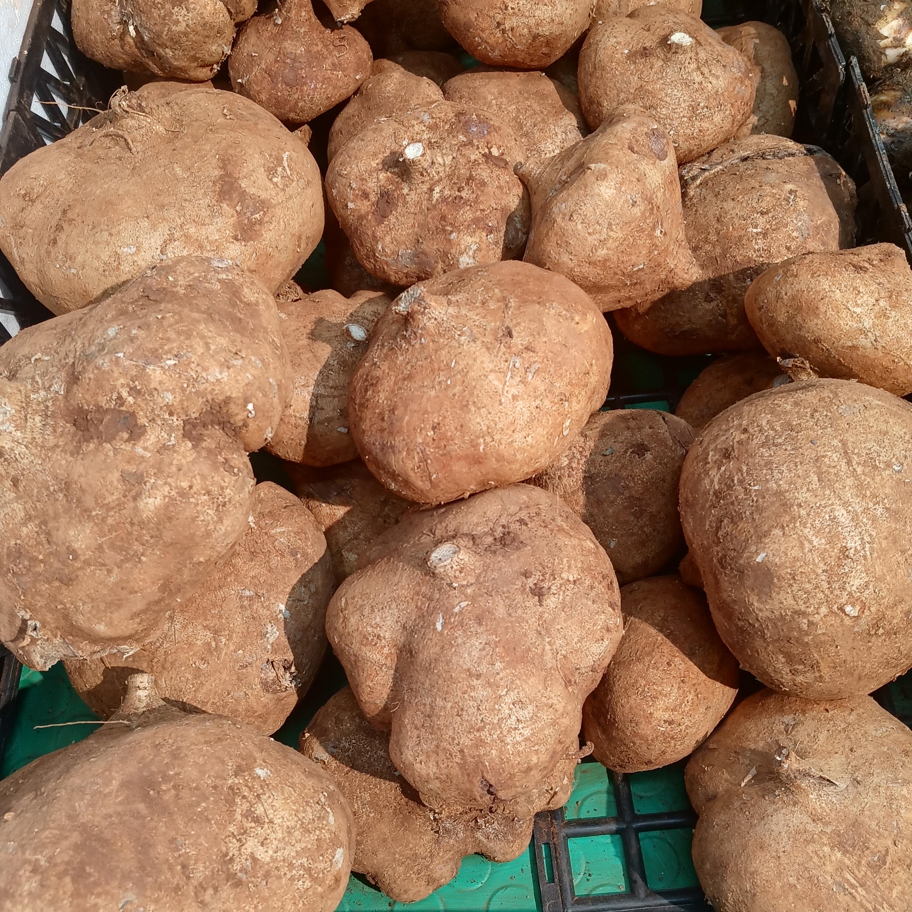 Sweet potatoes Red